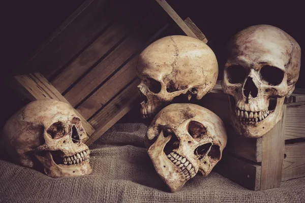 kafatasları kutuları üzerinde