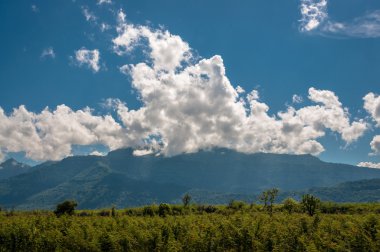 Yeşil alan ve açık mavi gökyüzü tepe