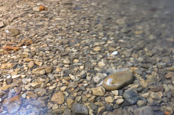 Kieselsteine im flachen Teich — Stockfoto
