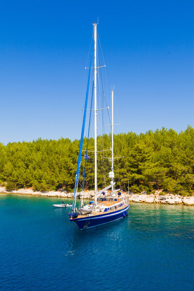 Shored yacht close to forest