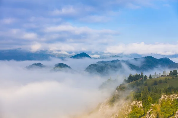Una mattina nebbiosa tra le montagne dei Carpazi — Foto Stock