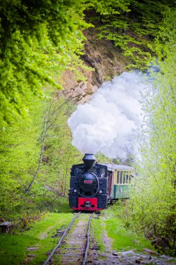 buhar motoru lokomotif