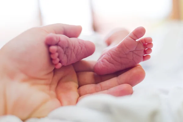 Kärleksfull mor hålla barnets fötter — Stockfoto