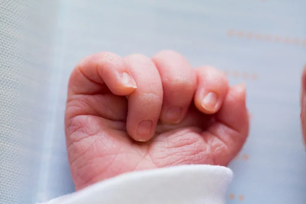 Baby hand close seup — стоковое фото