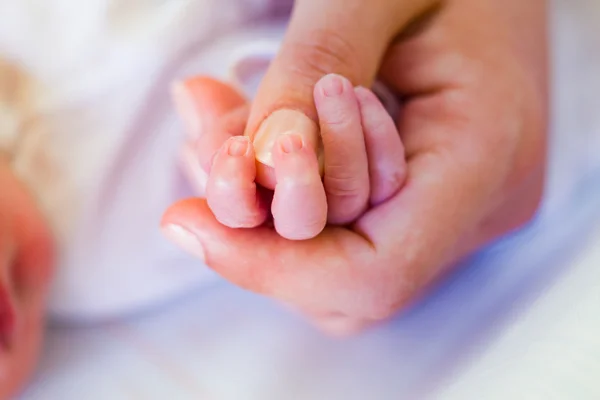 Newborn and mommy — Stock Photo, Image