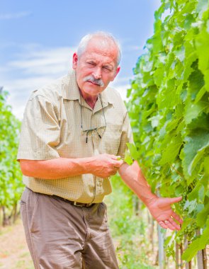 Benim iş bu yıl bu