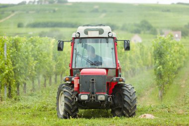 Kırmızı leke, leafroll ve diğer hastalıklara karşı ilaçlama