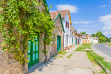 Geleneksel şarap yapımı