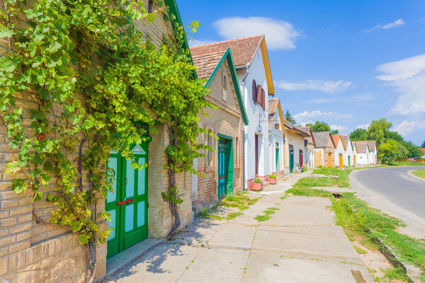 Traditional winemaking