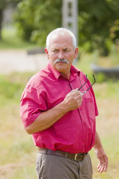 Låt oss se vad som hände — Stockfoto