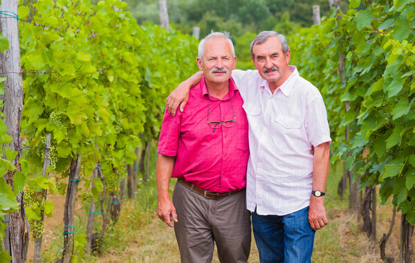 Хорошо, что мы снова встретились, мой друг.
