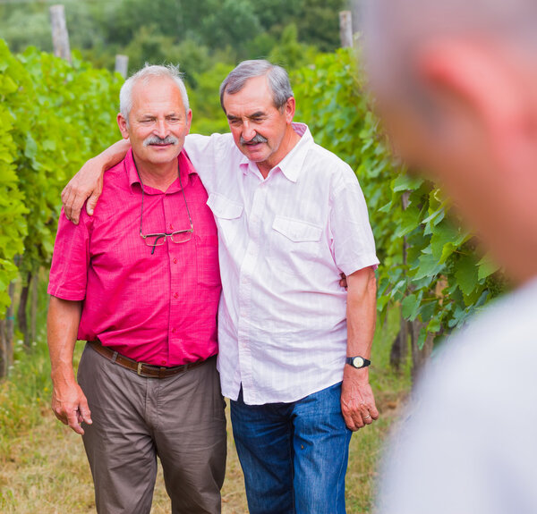 Я доволен виноградом этого года
