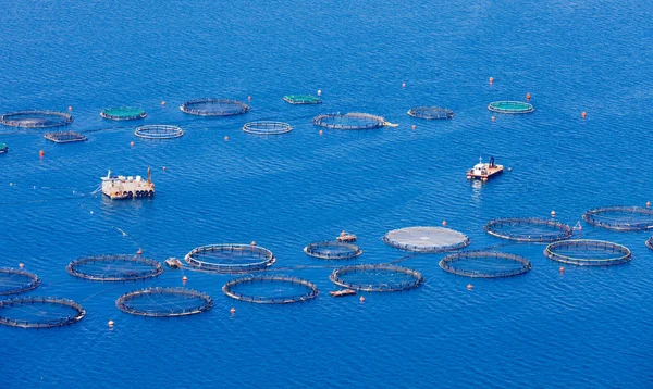 Fazenda de peixes no mar Mediterrâneo — Fotografia de Stock