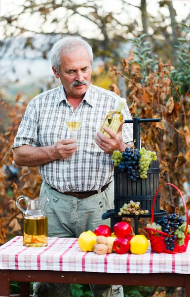 Man examining the last seson 's wine produce — стоковое фото