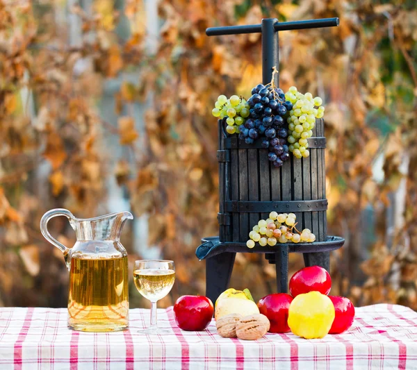 Autumn crops and wine — Stock Photo, Image