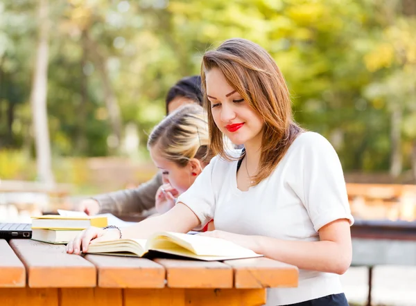 Student tjejer studerar för examina — Stockfoto