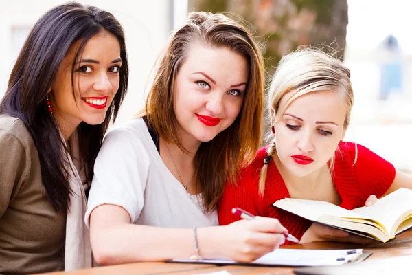 Chica amigos al aire libre haciendo la tarea —  Fotos de Stock