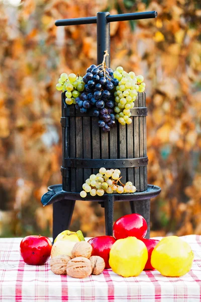 Őszi gyümölcsök és szőlő gyümölcslé queezer — Stock Fotó
