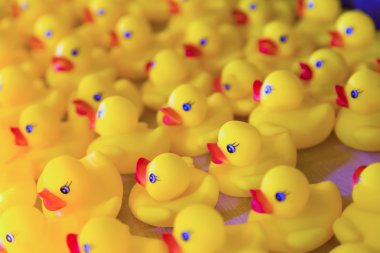 Yellow Rubber Ducklings