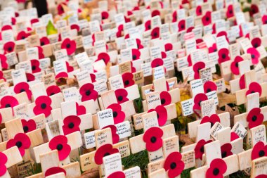 Royal British Legion poppy