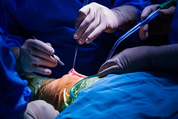 초점 외과 응급실 — 스톡 사진