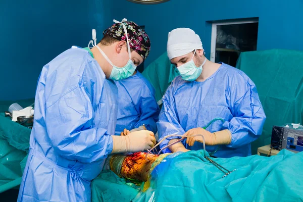 Busy medical team — Stock Photo, Image