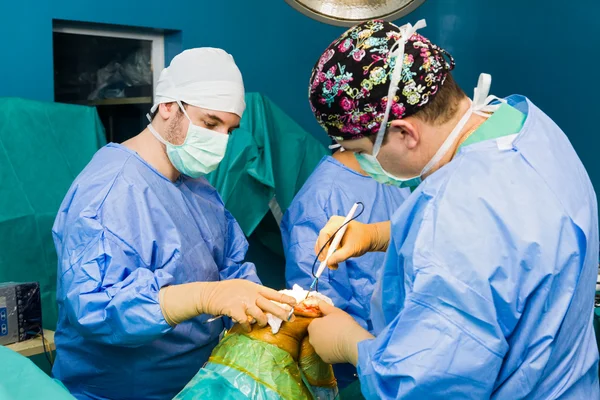 Медична команда під час операції — стокове фото
