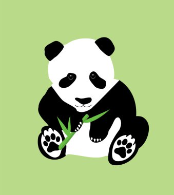 Ayı Panda vektör