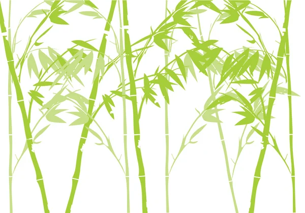 Fundo vetorial de bambu —  Vetores de Stock