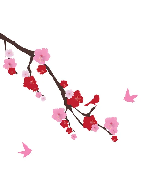 Cherry Blossom Vector — Stock Vector