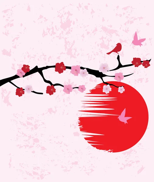 Cherry Blossom Vector — Stockový vektor
