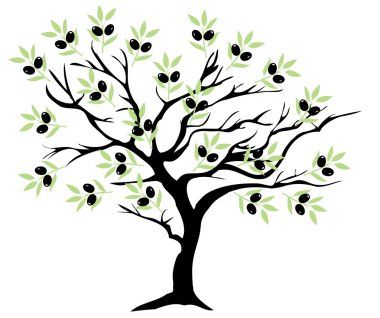 Zeytin ağacı vektörü