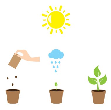 Bitki büyüme vektör