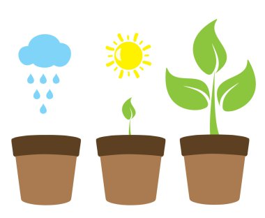 Bitki büyüme vektör