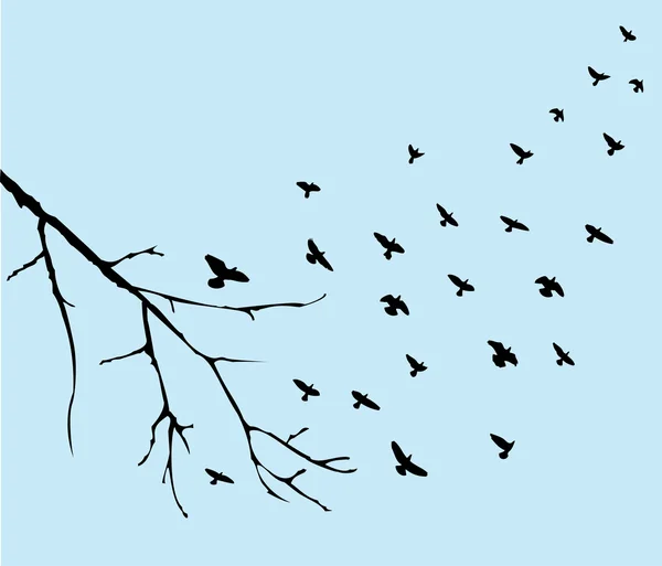Vettore di volo degli uccelli — Vettoriale Stock
