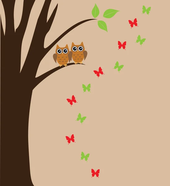 Uil vogels Vector — Stockvector