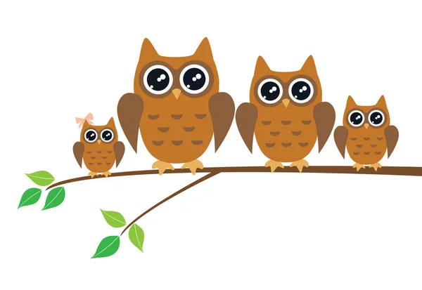 Uil vogels familie — Stockvector