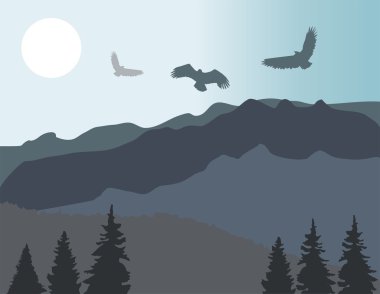 Mountans uçan kartal