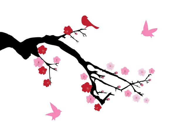 Vector cherry blossom — Stockvector