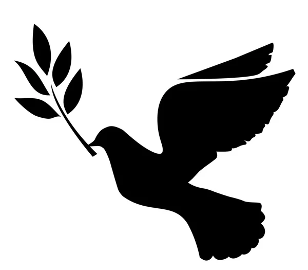 Dove With Olive Branch — Stock Vector