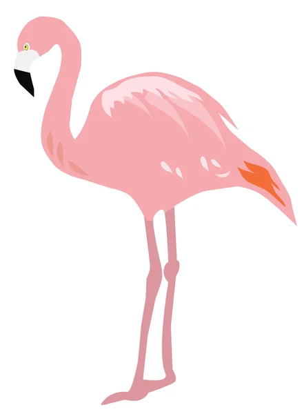 Flamingo-Vektorsilhouette — Stockvektor