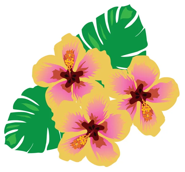 Tropiska blommor vektor — Stock vektor