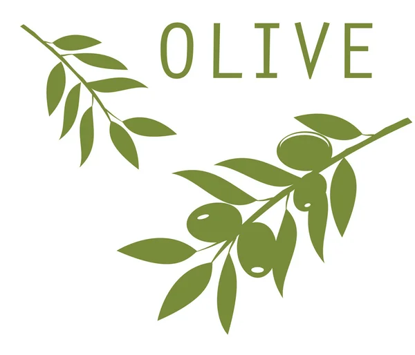 Olivenzweige als Vektor — Stockvektor