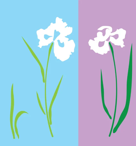 Vector iris bloem — Stockvector