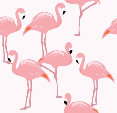 Vektör Flamingo kuşu