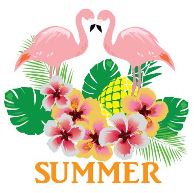 Vektör Flamingo kuşları