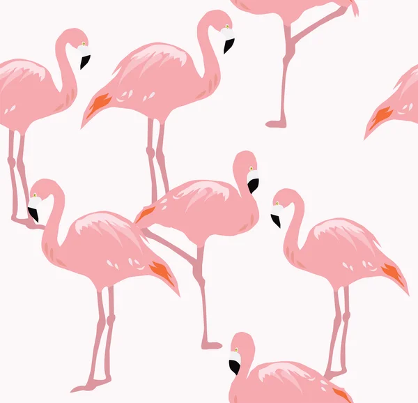 Vektor-Flamingo-Vogel — Stockvektor