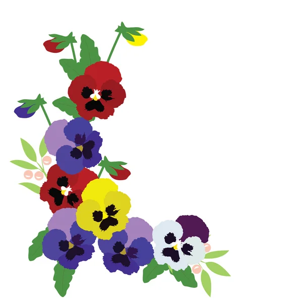 Διάνυσμα Pansies λουλούδια — Διανυσματικό Αρχείο