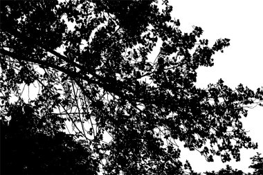 Ağaç dalları arka plan