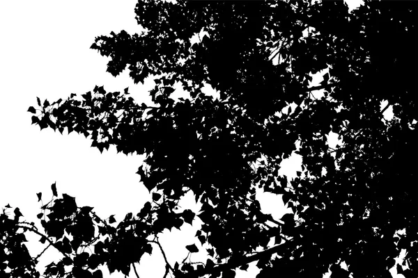 木の枝の背景 — ストックベクタ